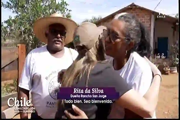 Screenshot of  TV Chile, tested about 22 hours ago