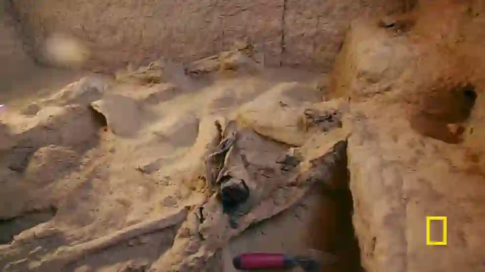 Screenshot of  National Geographic East, tested 16 days ago