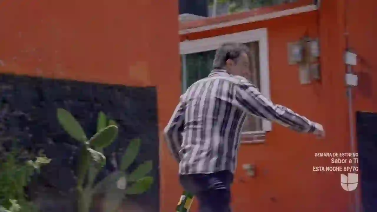 Screenshot of  Univision WLTV-DT, tested 12 days ago