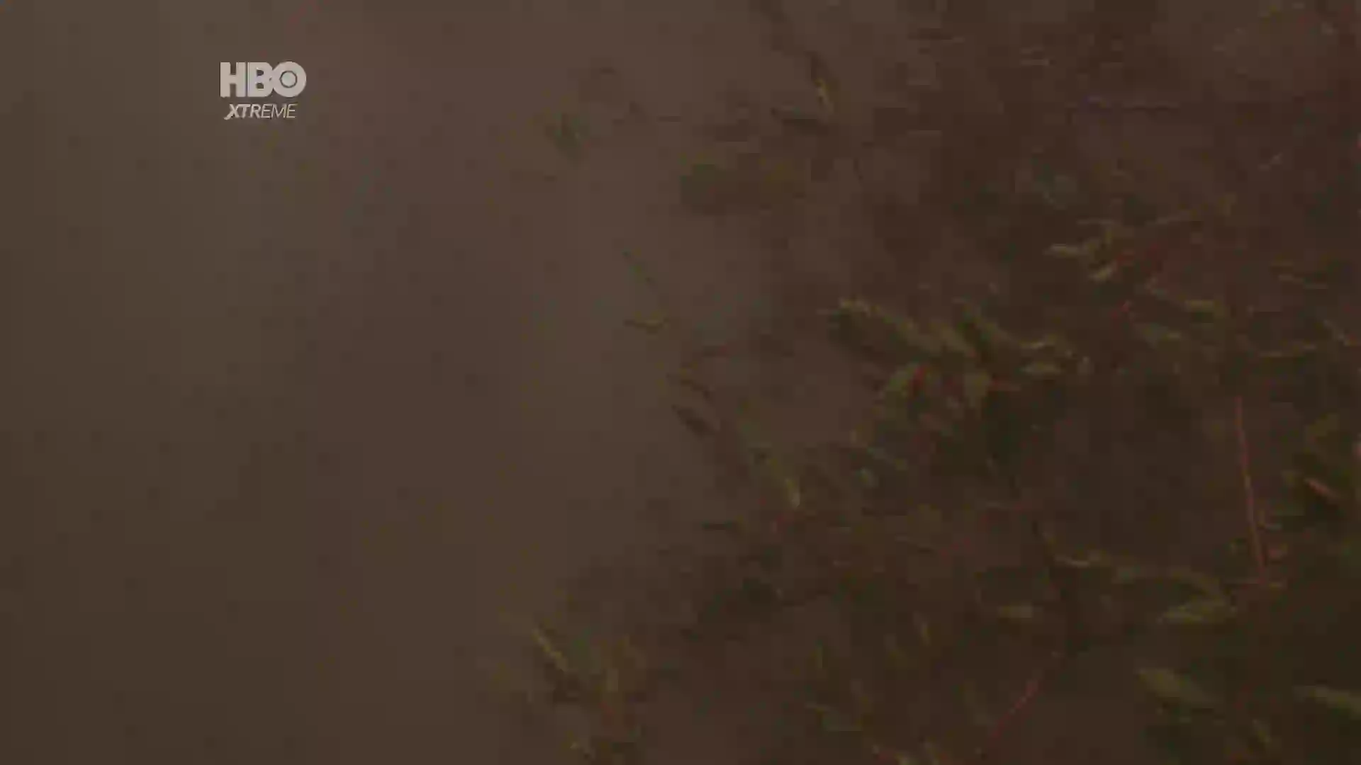 Screenshot of HBO Xtreme HD, tested about 1 hour ago
