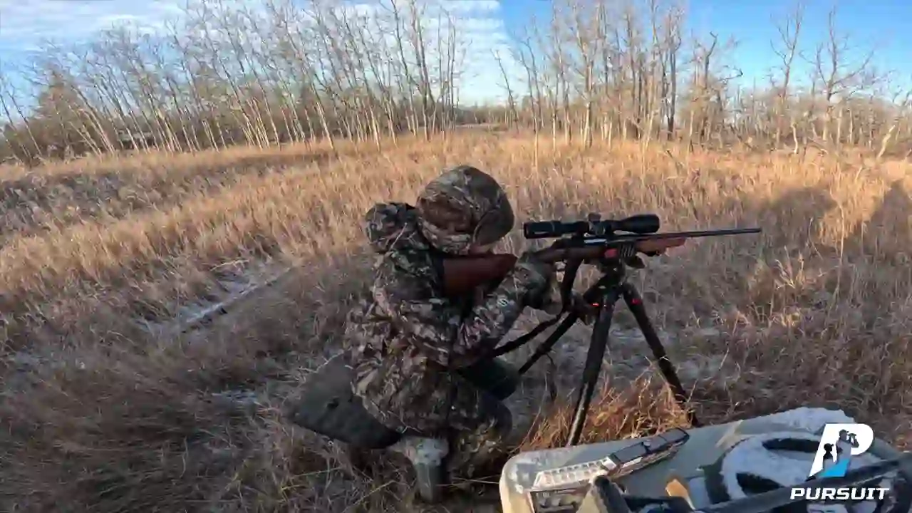 Screenshot of Pursuit Channel, tested 2 days ago