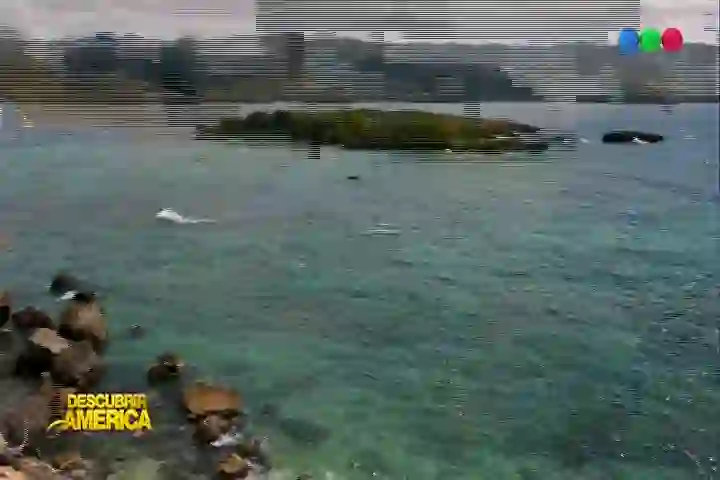 Screenshot of Telefe, tested 4 days ago