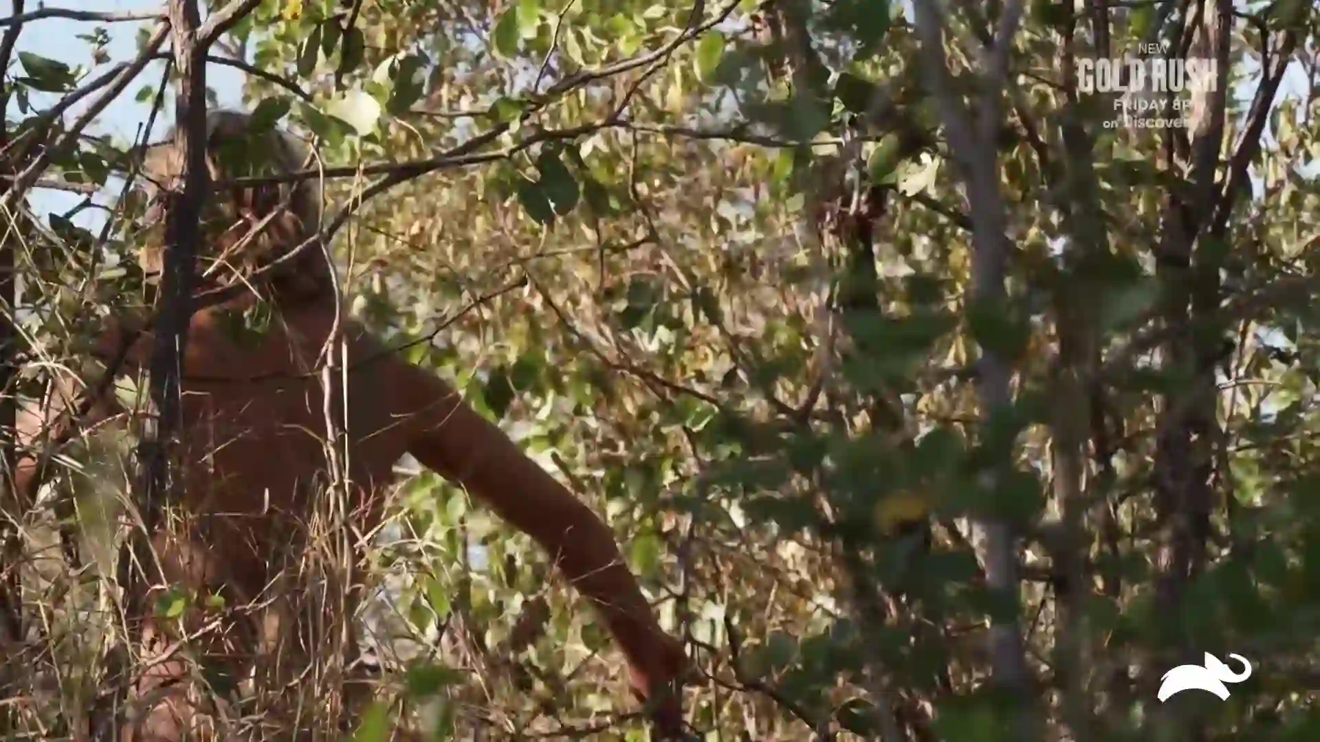 Screenshot of Animal Planet East, tested 1 day ago