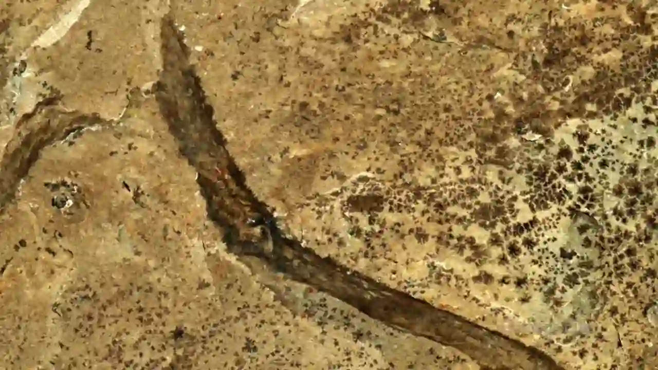 Screenshot of an unnamed stream, tested about 18 hours ago