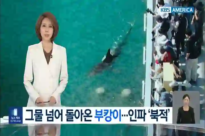 Screenshot of KBS America, tested 15 days ago