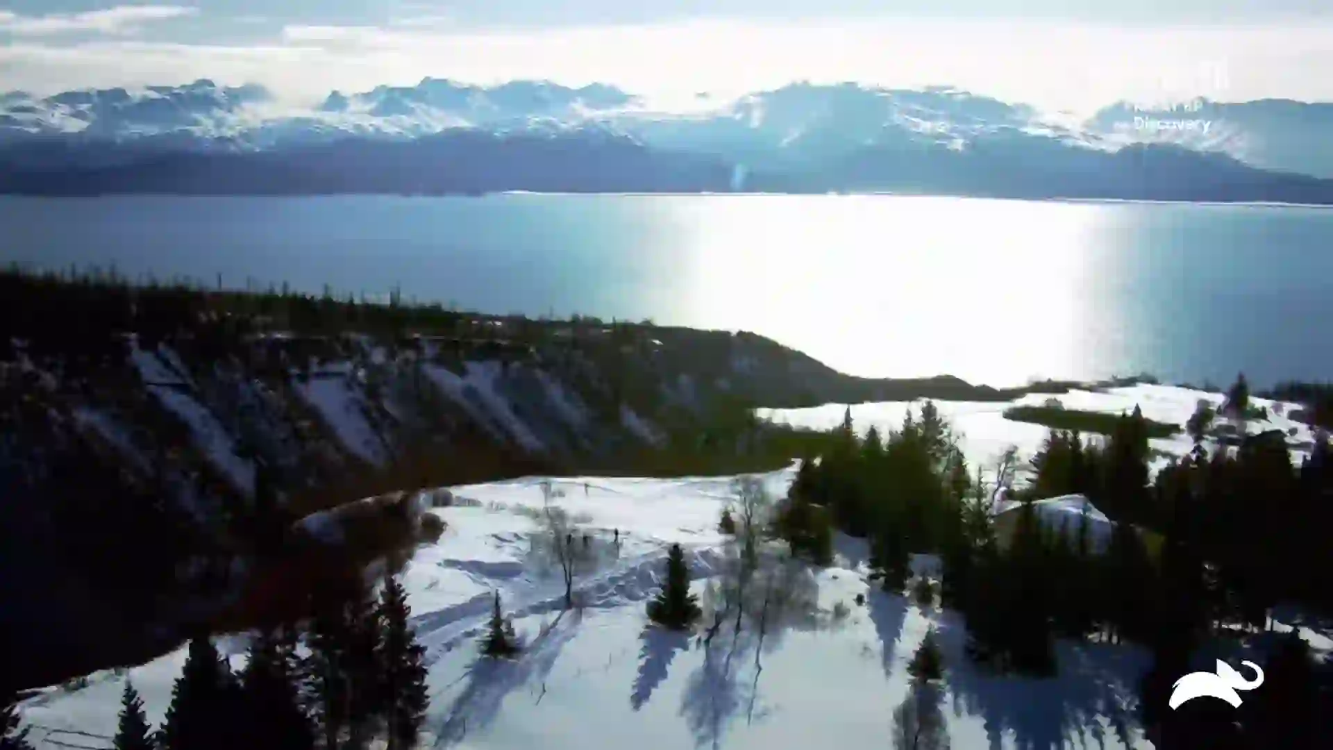 Screenshot of Animal Planet East, tested 12 days ago