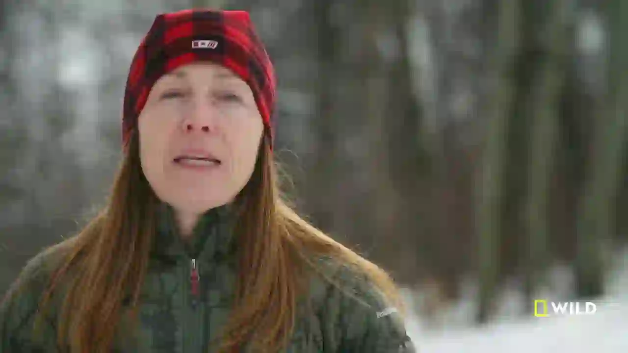 Screenshot of  National Geographic Wild East, tested 9 days ago