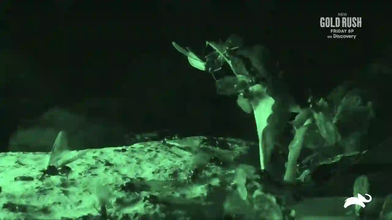 Screenshot of  Animal Planet East, tested 11 days ago
