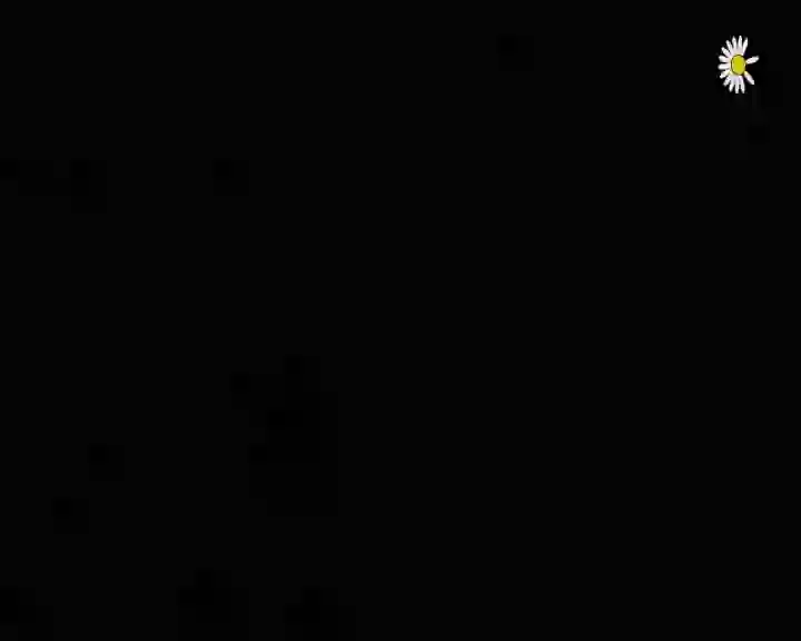 Screenshot of Русская Ночь, tested about 2 months ago