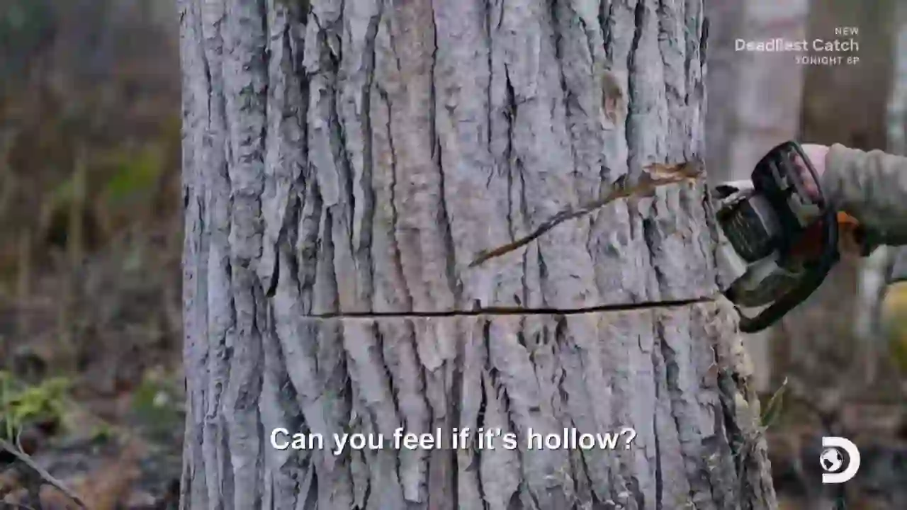 Screenshot of  Discovery Channel East, tested 2 months ago