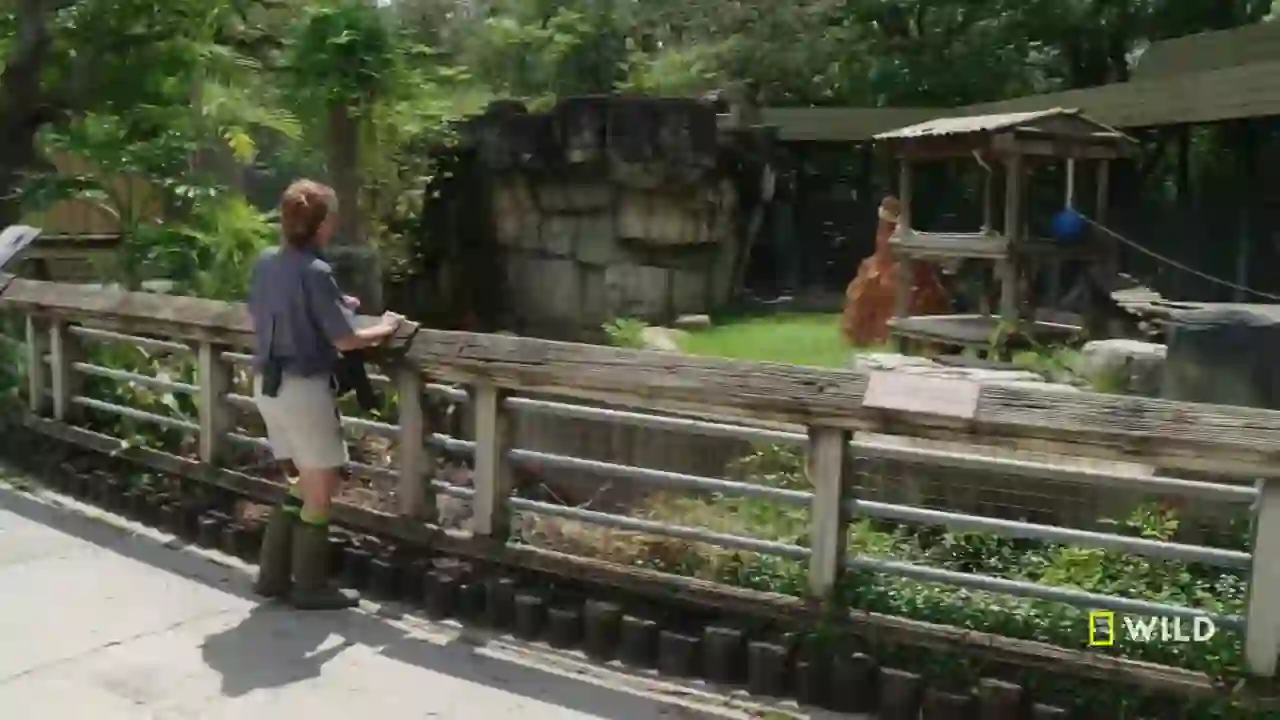 Screenshot of National Geographic Wild East, tested about 1 month ago