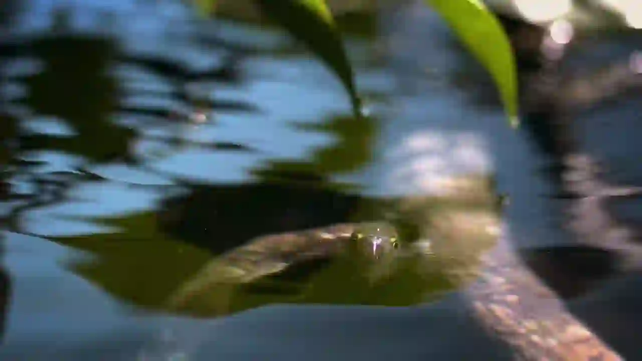 Screenshot of  National Geographic Wild East, tested 28 days ago