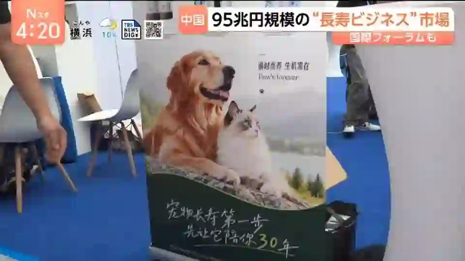 Screenshot of TBSテレビ, tested about 1 month ago