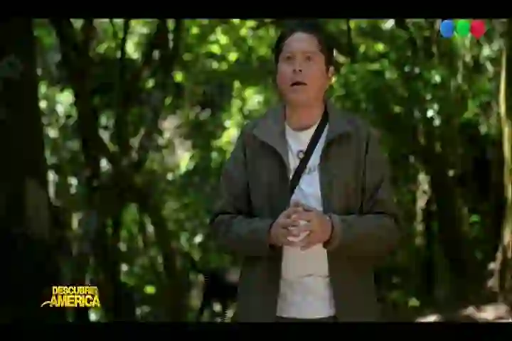 Screenshot of Telefe, tested 27 days ago