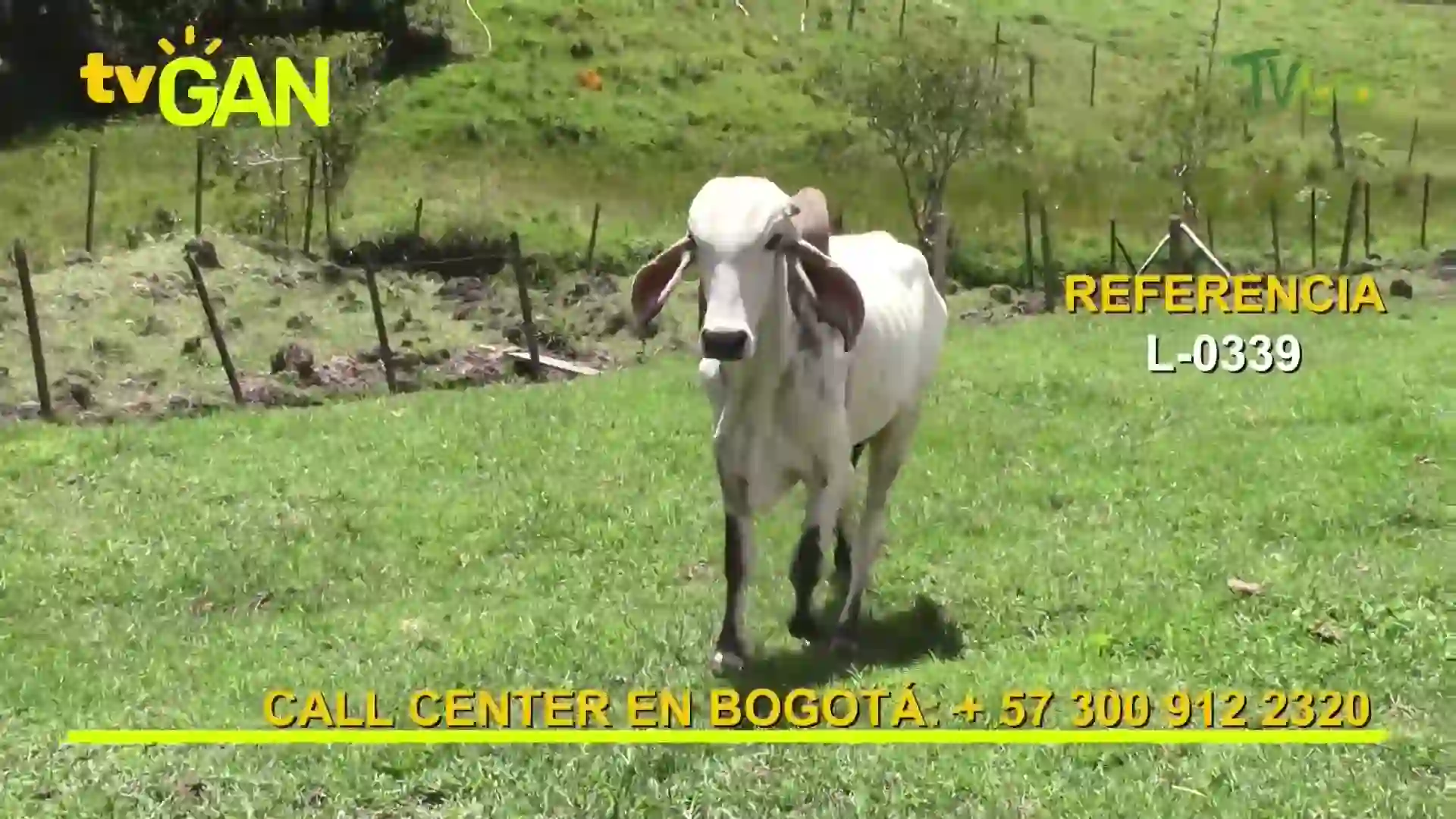 Screenshot of TV Agro HD, tested about 1 month ago