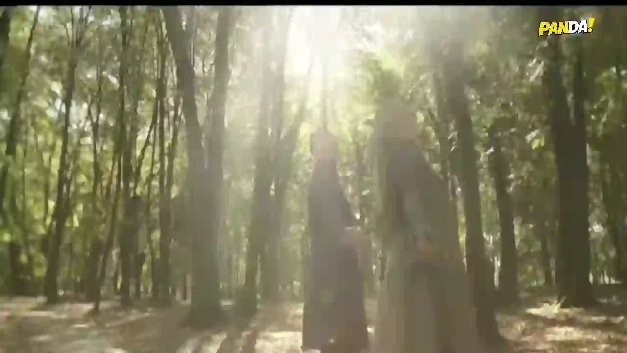 Screenshot of an unnamed stream, tested 29 days ago
