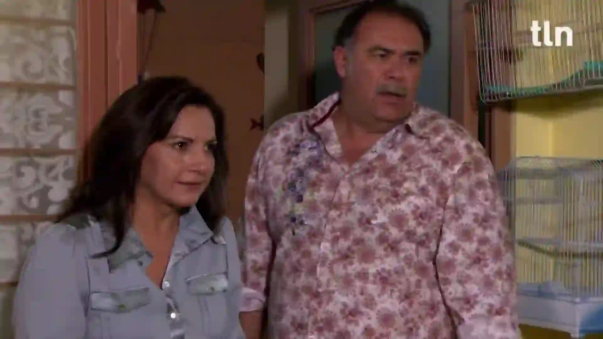 Screenshot of TLNOVELAS MX, tested 19 days ago
