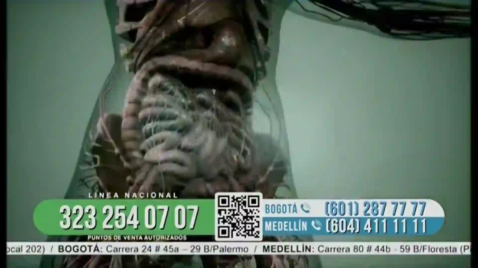 Screenshot of TV CHILE+, tested about 1 month ago